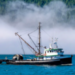 A small fishing boat on the coast of British Columbia.