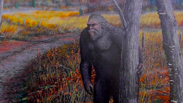 The existence of Sasquatches has been widely discussed and debated by researchers, scientists, and the general public alike.