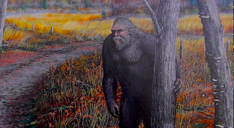 The existence of Sasquatches has been widely discussed and debated by researchers, scientists, and the general public alike.