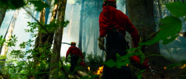 Wildland firefighters in B.C. are trained to work in demanding conditions, from severe heat and swarms of bugs to challenging terrain. The BC Wildfire Service employs around 1,200 firefighters yearly, who work on one of four crew types spread throughout the province over six fire centres: Initial Attack, Unit Crew, Rapattack, and Parattack.