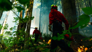 Wildland firefighters in B.C. are trained to work in demanding conditions, from severe heat and swarms of bugs to challenging terrain. The BC Wildfire Service employs around 1,200 firefighters yearly, who work on one of four crew types spread throughout the province over six fire centres: Initial Attack, Unit Crew, Rapattack, and Parattack.