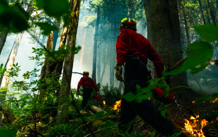 Wildland firefighters in B.C. are trained to work in demanding conditions, from severe heat and swarms of bugs to challenging terrain. The BC Wildfire Service employs around 1,200 firefighters yearly, who work on one of four crew types spread throughout the province over six fire centres: Initial Attack, Unit Crew, Rapattack, and Parattack.