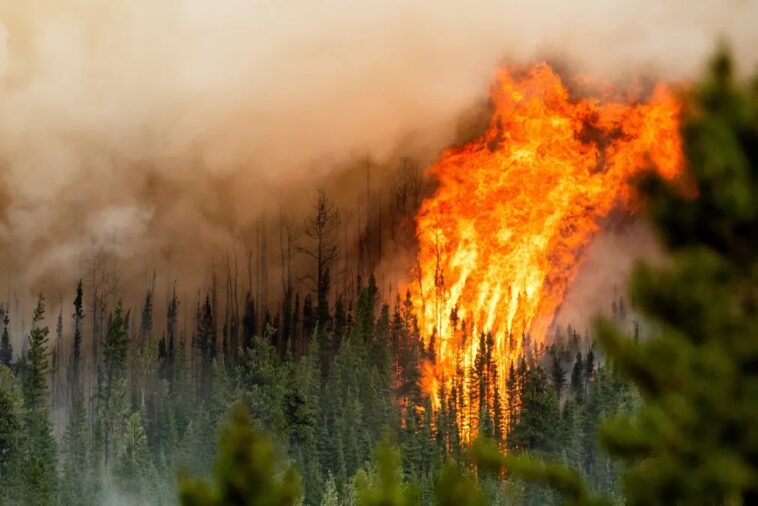 Flames from the Donnie Creek wildfire burning along a ridge-top near Fort St John, B.C.