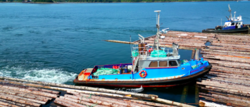 Log booms are used to gather and hold logs after they have been felled, either in the forest or through mechanized operations. This prevents the logs from drifting away and helps in efficient transportation to sawmills or processing facilities.