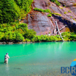Flyfishing on the the Skeena River. The Skeena River, located in northern British Columbia, is known for its pristine wilderness and salmon runs. It is one of the most important rivers for salmon spawning in North America.