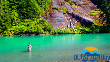 Flyfishing on the the Skeena River. The Skeena River, located in northern British Columbia, is known for its pristine wilderness and salmon runs. It is one of the most important rivers for salmon spawning in North America.