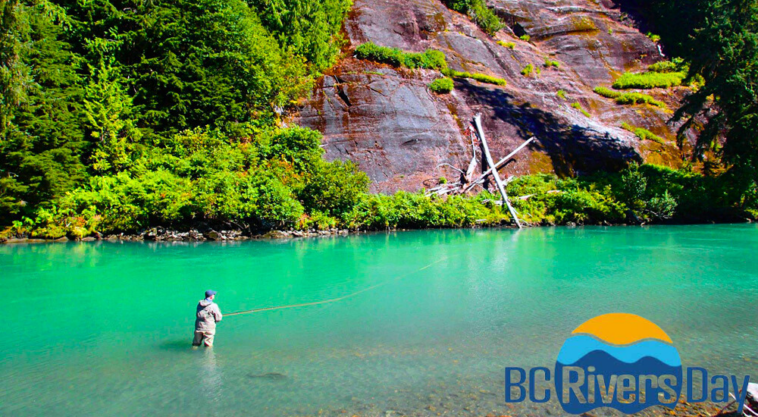 Flyfishing on the the Skeena River. The Skeena River, located in northern British Columbia, is known for its pristine wilderness and salmon runs. It is one of the most important rivers for salmon spawning in North America.