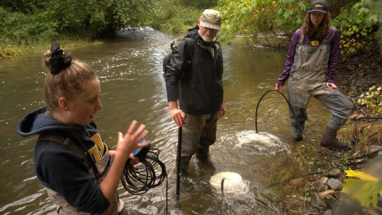 Katie Gair (TRRS) describes the deployment of portable aeration units in refuge pools of the Tsolum River to increase the survival of pink salmon adults returning to spawn. Allan Chamberlain (TRRS) and Jane Pendray (PSF) stand in the Tsolum River holding tubes leading to aeration units that are actively bubbling oxygen into the water.