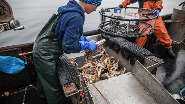 British Columbians understand that thriving coastal communities depend on small-scale fisheries for sustaining local livelihoods, ensuring food security, maintaining ties to the sea, preserving cultural identity, and bolstering coastal economies. They also understand that industrial-scale commercial fisheries stand in the way of a prosperous coast. Photo credit: Chelsey Ellis