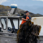 Kelp harvester on the coast of British Columbia