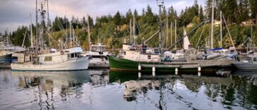 A group of boats parked by the coast