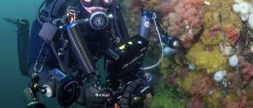 Tiare Boyes, a diver