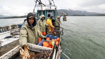 Crab harvesters