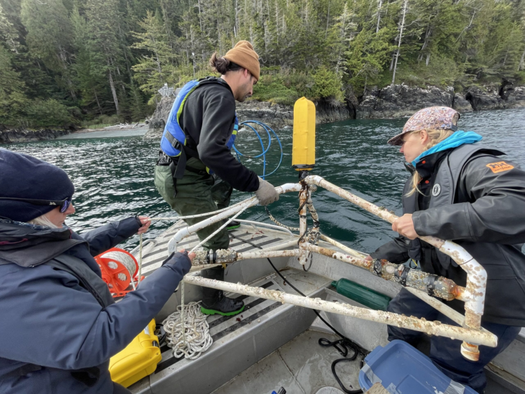 Volunteers lowering a hydrophone into the water from a boat