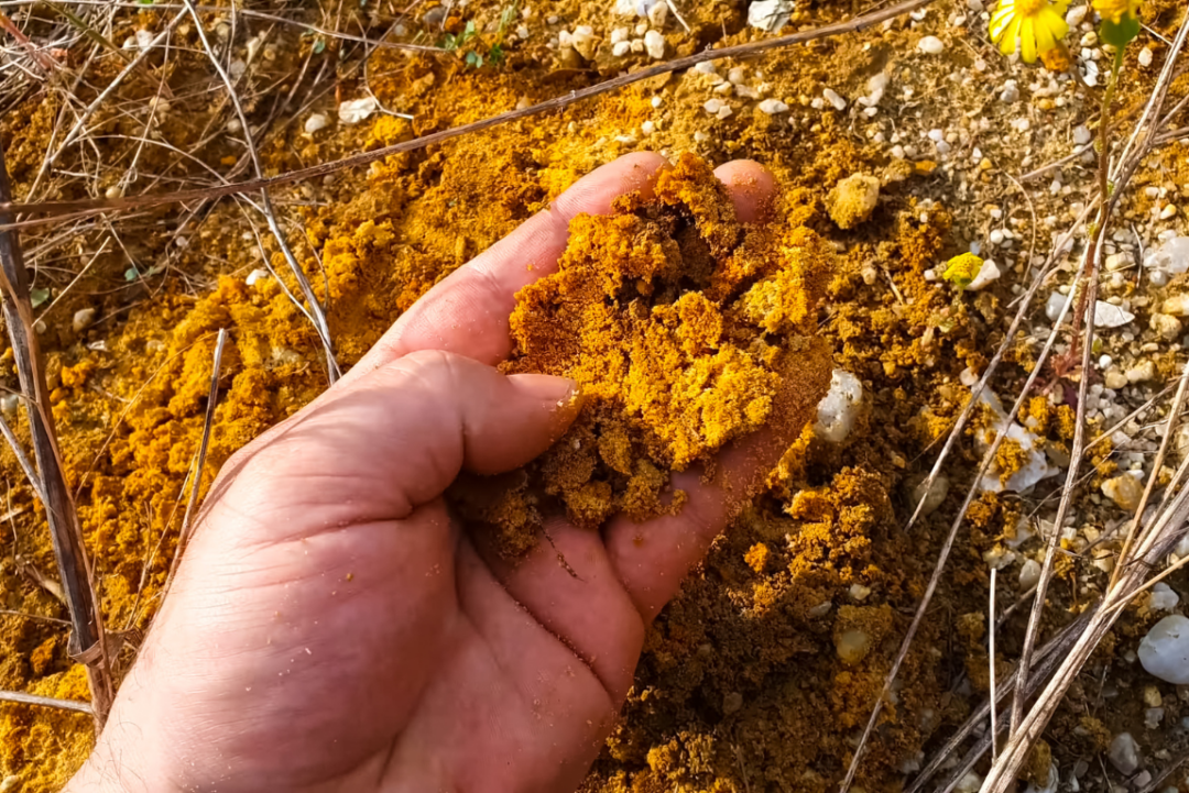 Hand sifts through gold mine sediment