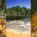 three vertical images showing forested river landscapes that have been polluted with yellow mine tailings suspended in the water