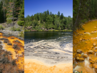 three vertical images showing forested river landscapes that have been polluted with yellow mine tailings suspended in the water