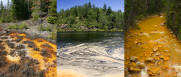 three vertical images showing forested river landscapes that have been polluted with yellow mine tailings suspended in the water