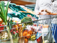 close up image of a grocery cart filled with fresh vegetables