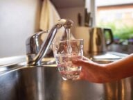 cup of water under a stainless steel kitchen sink