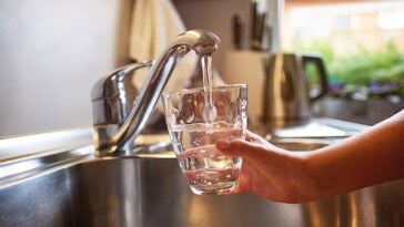 cup of water under a stainless steel kitchen sink